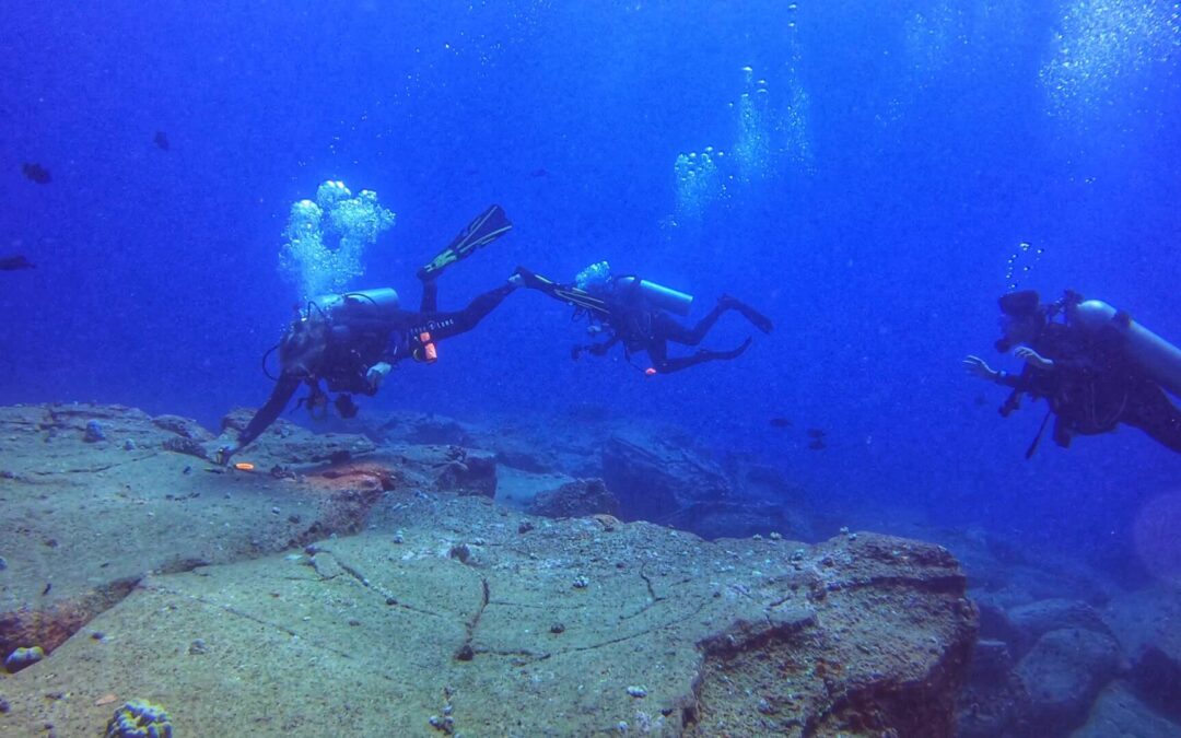 Fathom Five – Ni‘ihau Dive