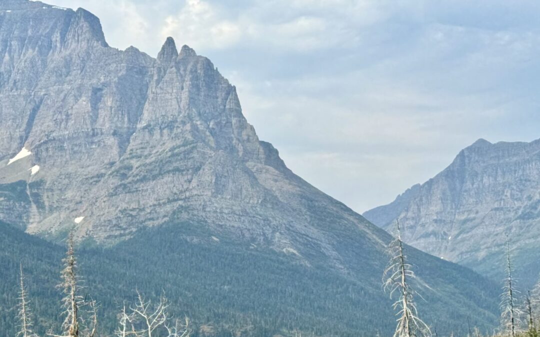 Celebrate National Park Week 2025