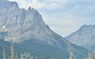 Celebrate National Park Week 2025