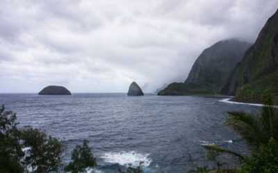 Saint Damien’s Feast Day—Celebrating Hawaii’s Saints