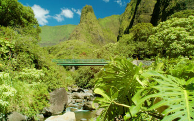 The Best 3-Day Maui Itinerary