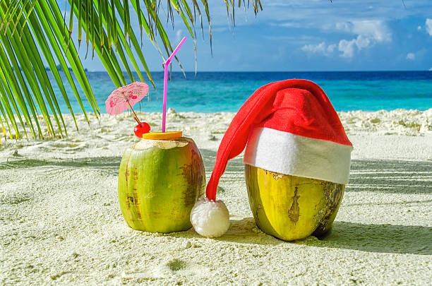 holiday lights in hawaii