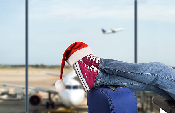 holiday travel survival guide