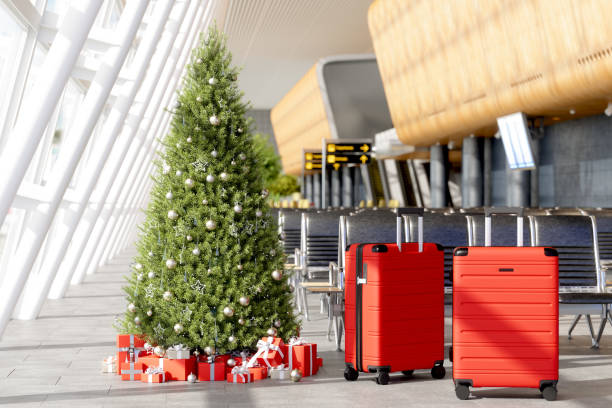 holiday travel survival guide