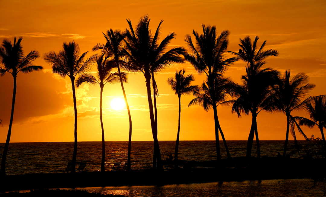 Full Day Itinerary on the Big Island