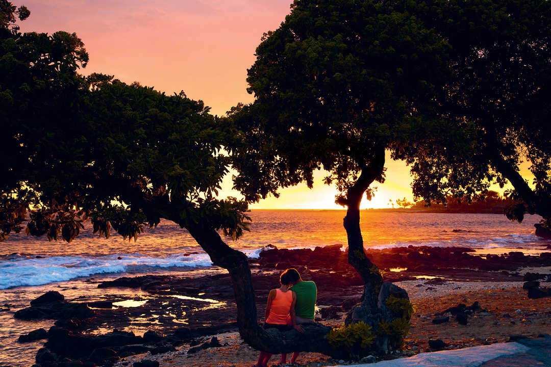 Which Hawaiian Island Should You Visit?