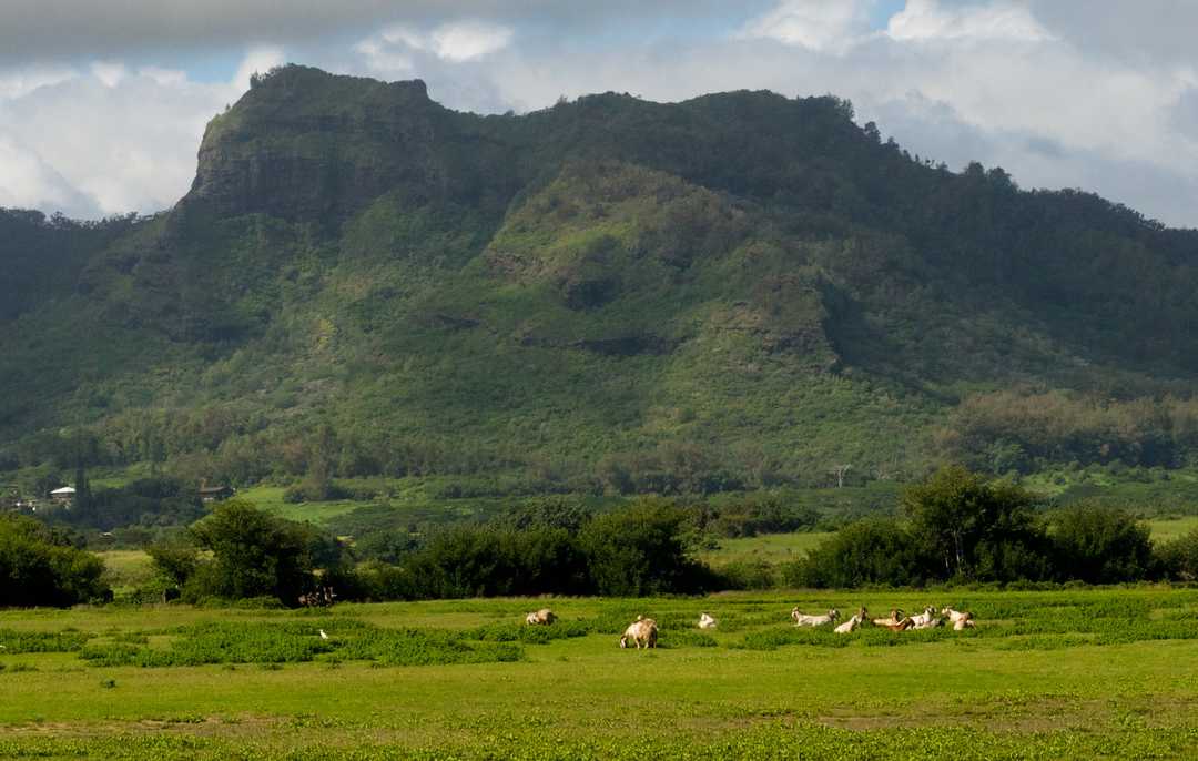 which hawaiian island you should visist