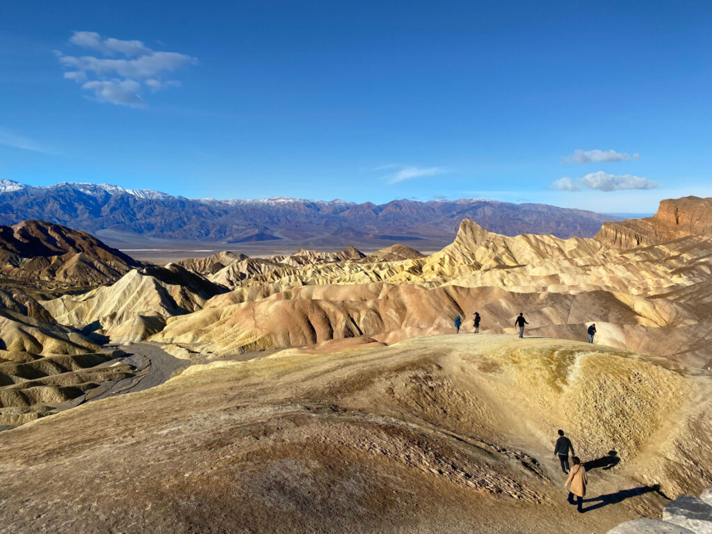 super bloom lookout point