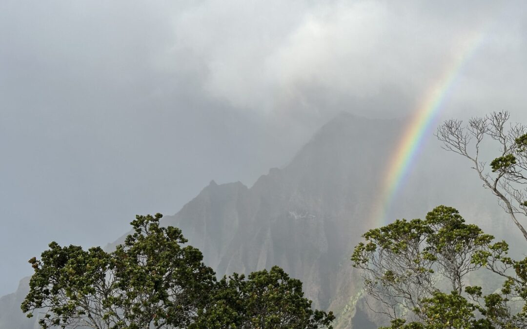 Kona Low: Winter Storms in Hawaii