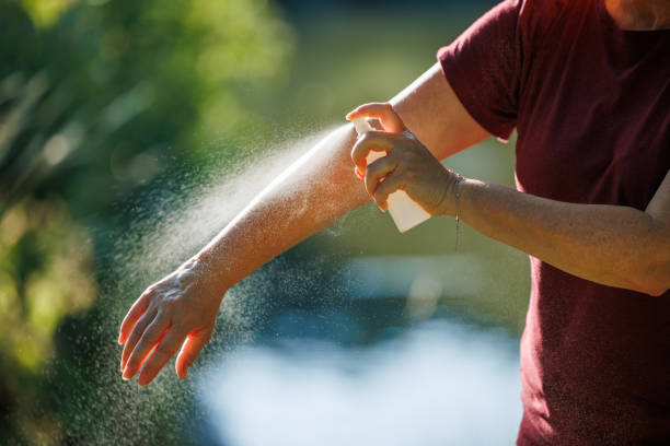 How to Avoid Mosquitoes in Hawaii