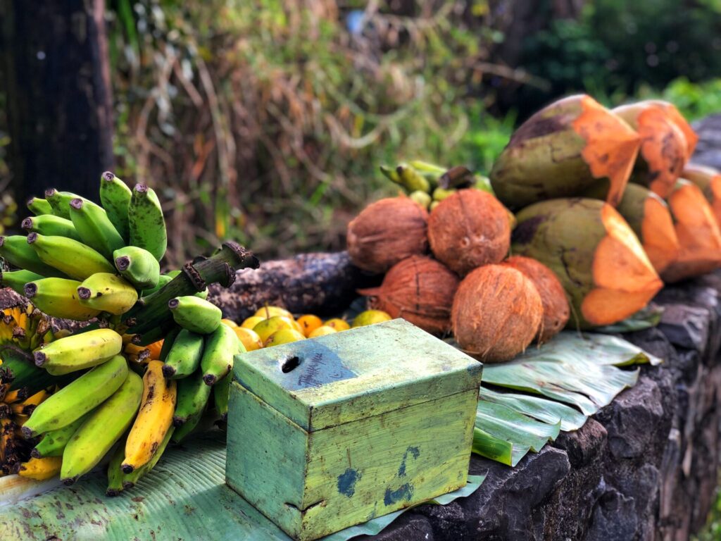fresh fruit on a country road