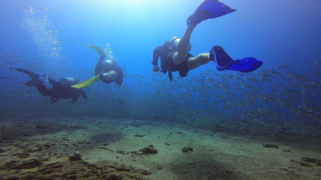 Diving the Mala Wharf