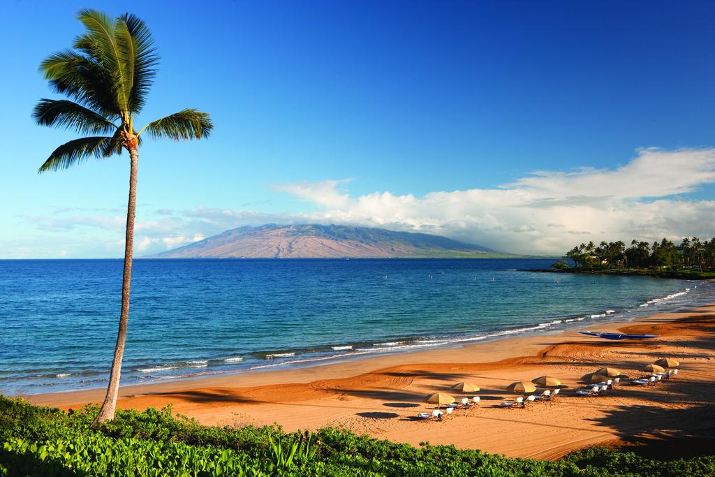 Should I travel to Maui?