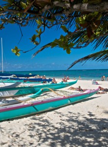 Oahu beach shore with teal colored kayaks in the front of view