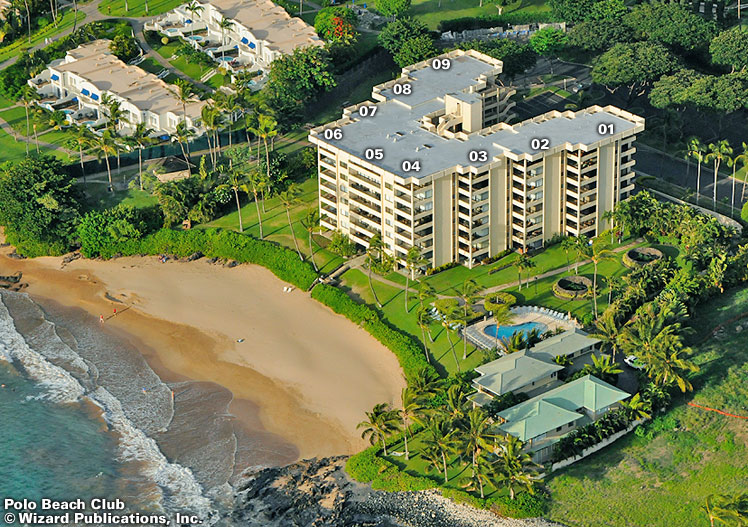 Polo Beach Club - Revealed Travel Guides
