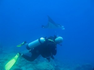 A diver and Manta get eye to eye off the Big Island.