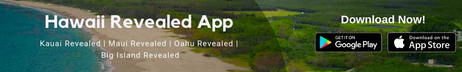 A private tour of your preferred Hawaiian island. The Hawaii app powered by GPS offers a guided tour