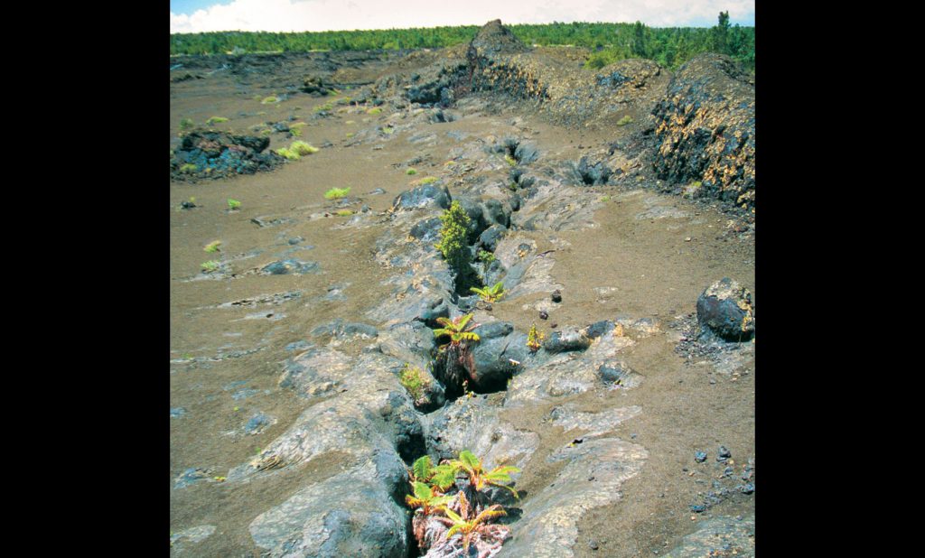 Kilauea Volcano - Scene
